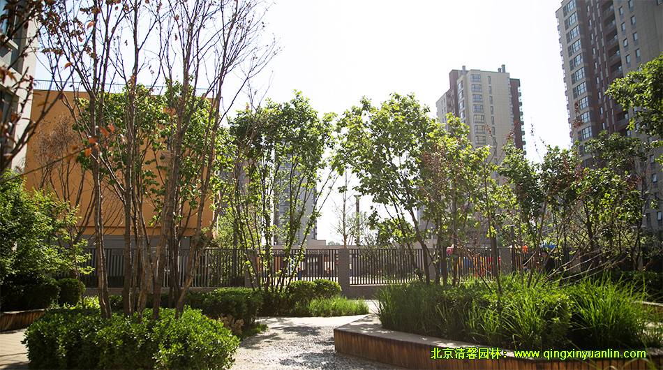 中糧萬(wàn)科 長(zhǎng)陽(yáng)項(xiàng)目 小學(xué)園林