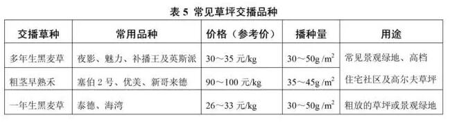 草坪全年度養(yǎng)護計劃