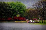 傳統(tǒng)園林設(shè)計(jì)方案：太子灣公園景觀設(shè)計(jì)