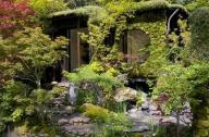 庭院植物主景如何設(shè)計？